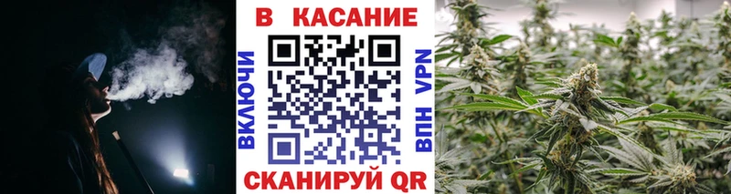 Бошки Шишки Гдов